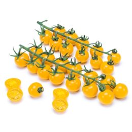 Pomodoro-ciliegino-giallo