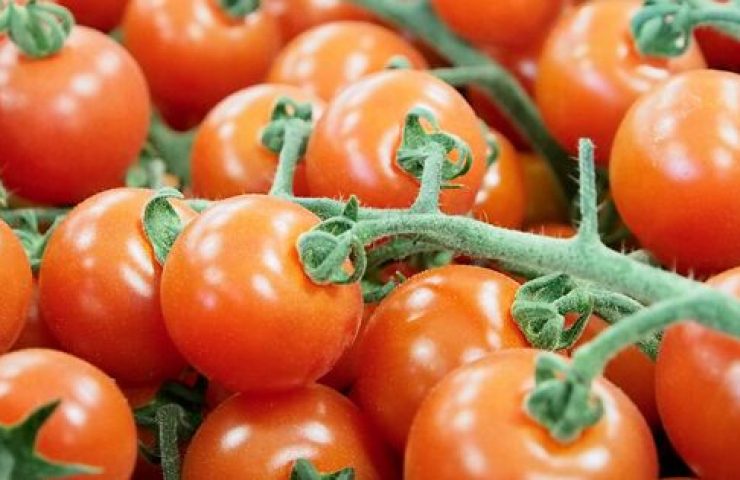 4 regole d’oro per un’ottima insalata di pomodori secondo noi