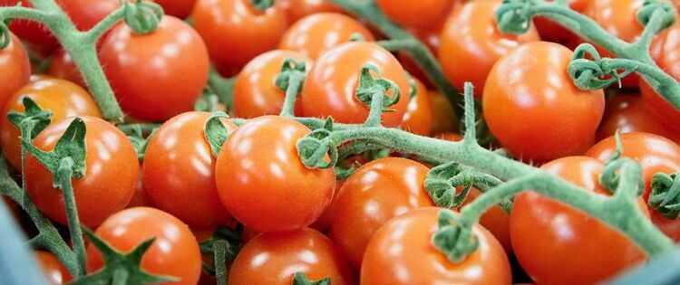 4 regole d’oro per un’ottima insalata di pomodori secondo noi