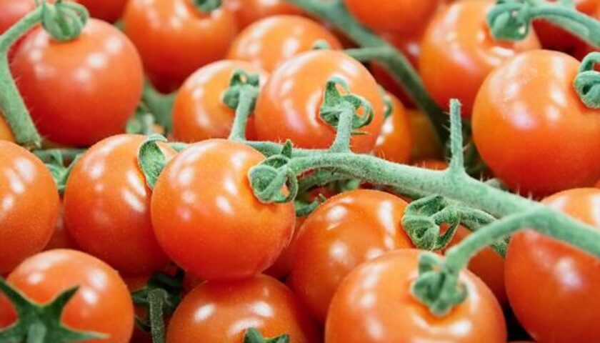 4 regole d’oro per un’ottima insalata di pomodori secondo noi