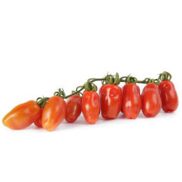 miniplum-tomato