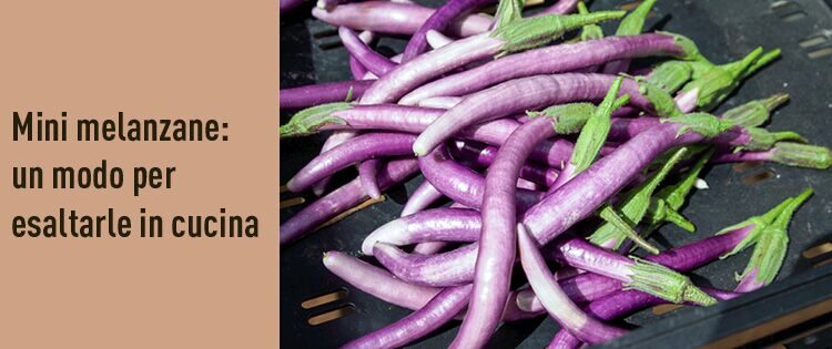 Mini melanzane: un modo per esaltarle