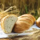 Latest Updates in Global Agriculture