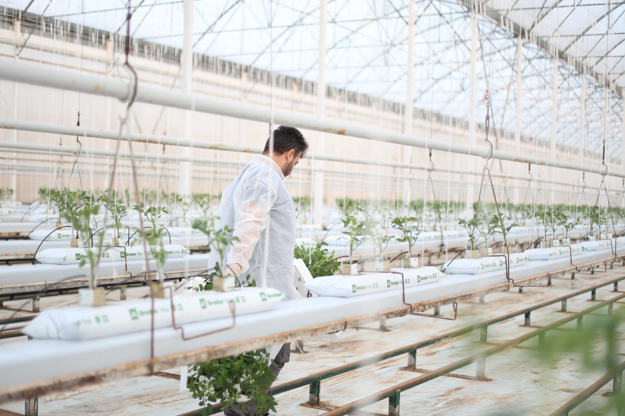 Agricoltura innovativa