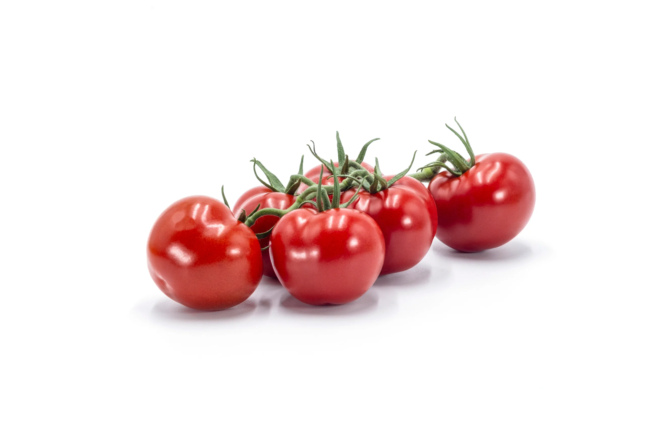 Red Round Tomato