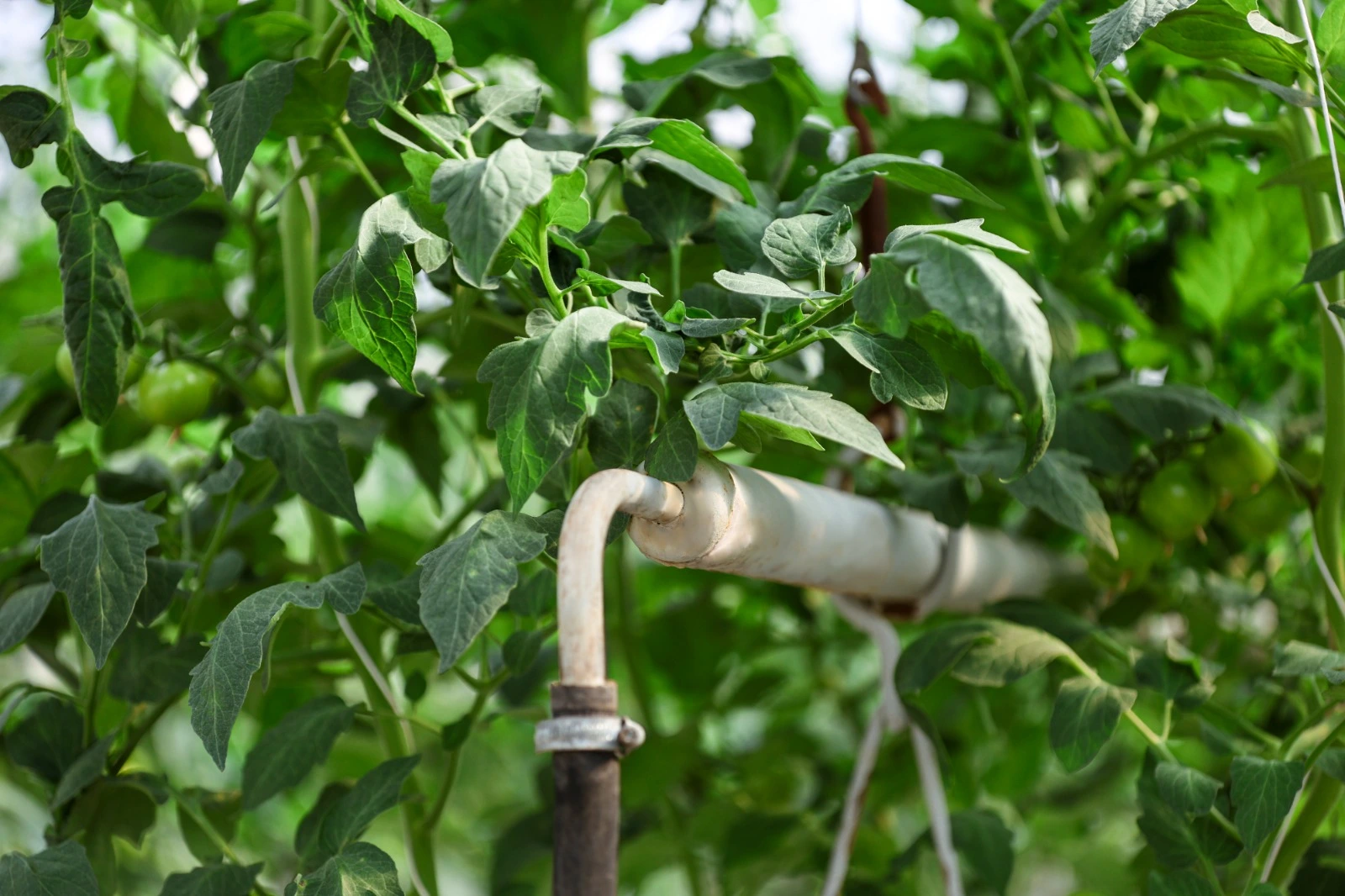 gestione del microclima